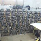مشالح رجالية ملكية