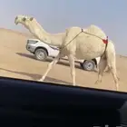 للبيع الضروبه الكفو شرط