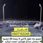 دكه سحب للبيع جنط 20 طولها 9 في 4 شغل ممتاز اخت الجديده