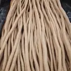 مساويك