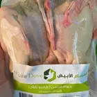للمسوقين زغاليل حية حمام فرنسي لاحم سوبر جامبو
