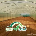 بيع وتركيب بيوت محمية وصالات زراعية وجميع مستلزماتها