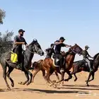 تعليم ركوب الخيل