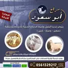ذبيحة ثلاجة عقائق مناسبات صدقات لحد بيتك
