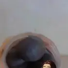 دلكه سودانيه سوداء اصليه
