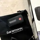 قطعة من سارا مونيك المعروفة
