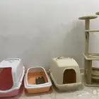 مستلزمات قطط