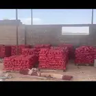 بصل انتاج وطني درجه اولى بسعر الجمله