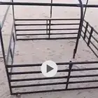شبك داتسون
