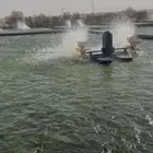 للتقبيل مزرعة استزراع سمك بلطي بالجله