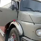وايت جفالي شد بلد