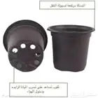 مراكن زراعية