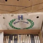 اشرطه فيديو حجم كبير