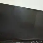 تلفزيون