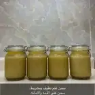 سمن غنم بلدي كفو