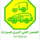 فحص دوري سيارات صغيره وشاحنات