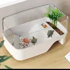 حوض سلحفاء
