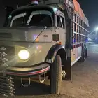 عايدي 92 مسقط