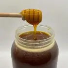 عسل سدر اصلي ومضمون بلدي من الجنوب