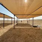 مضلة الابل