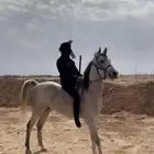 حصان شعبي