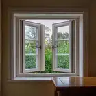 دريشه المانيم