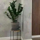 كونكريت ودهانات داخلي وايبوكسي