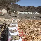 خبز ناشف