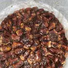تمر برني فاخر صطل