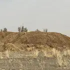 سماد