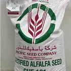 للبيع بذور برسيم كاف 101 الوزن 25 كيلو