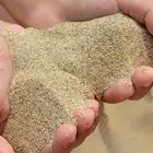رمل ونشاره لزواحف والسلاحف البريه