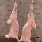 ذبايح تفريد