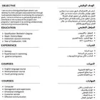 تصميم سيرة ذاتية احترافية ضمان كامل ب 15