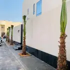 زراعه وتنسيق حدائق