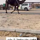 بنت سليمان ال بادي خفوت