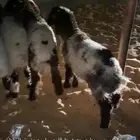 بهم ربط العدد 7