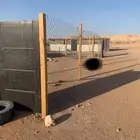 شبك غنم