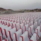 صبيات سفتي