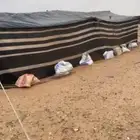 بيت شعر