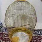 قفص طيور كبير