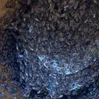 نحل بلدي وفرنجي للبيع جمله وتفريد