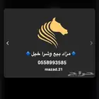 مزاد بيع وشراء خيل