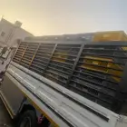 دينه توصيل مشاوير