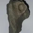 حجر