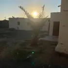 ح وش مكة النوارية بير الغ ن م