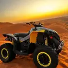 كانام رينيقيد 1000R