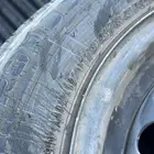 جنوط النترا سوح 2017