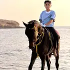 حصان شعبي حصان سبوق ولا يجي غير اصامل