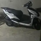 دباب بطه 2025